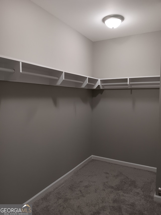 spacious closet featuring carpet