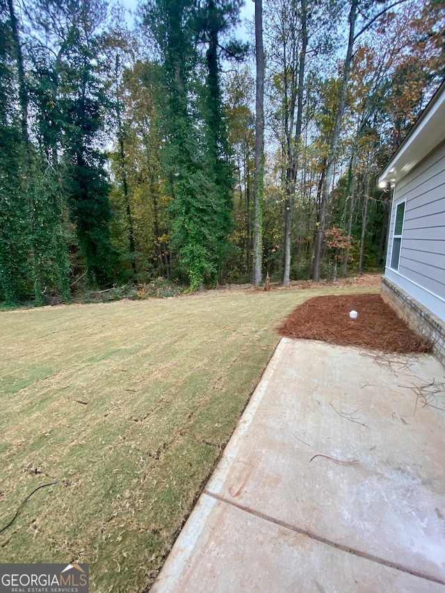 view of yard featuring a patio