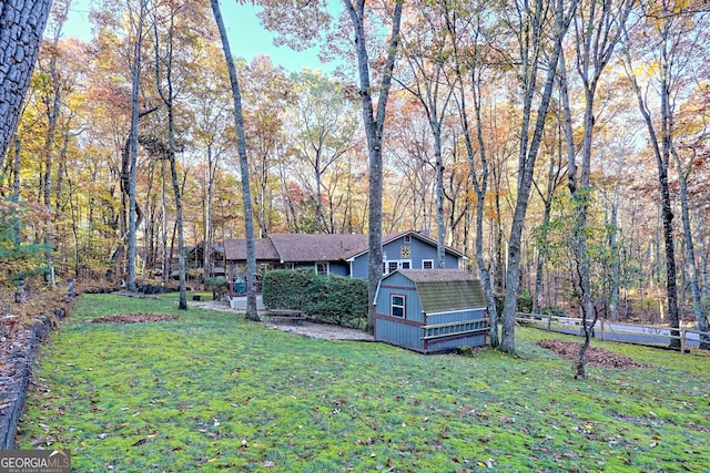 view of yard featuring a storage shed