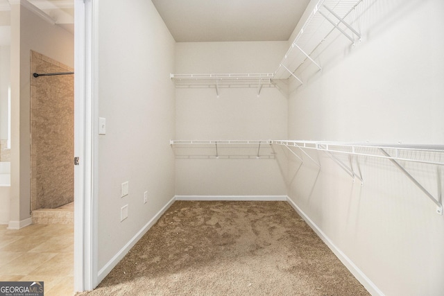 walk in closet featuring carpet flooring