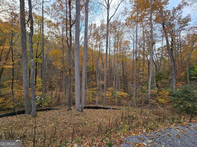 Listing photo 3 for LOT14-5 Jones Gap Road 14 & 15, Hiawassee GA 30546