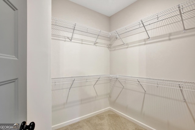 walk in closet with carpet