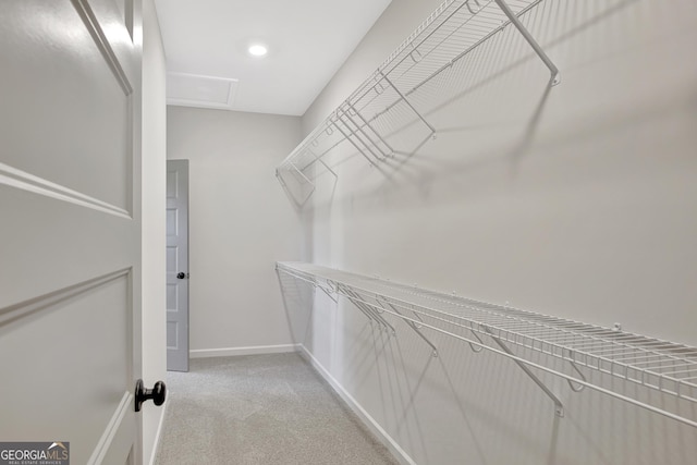 walk in closet with light carpet