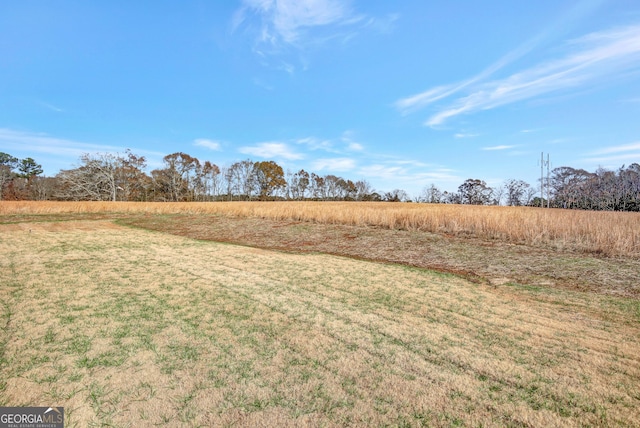 view of yard featuring a rural view