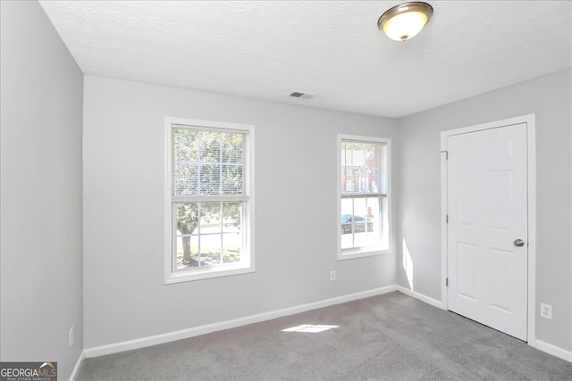 unfurnished room featuring a textured ceiling, light colored carpet, and a wealth of natural light