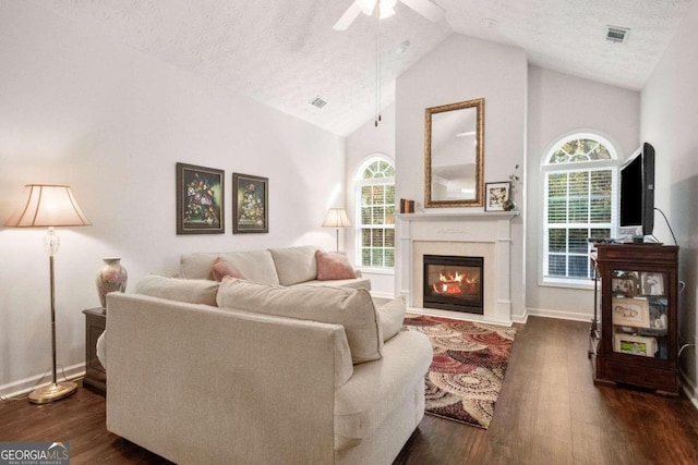 living room featuring a textured ceiling, a healthy amount of sunlight, dark wood-type flooring, and vaulted ceiling