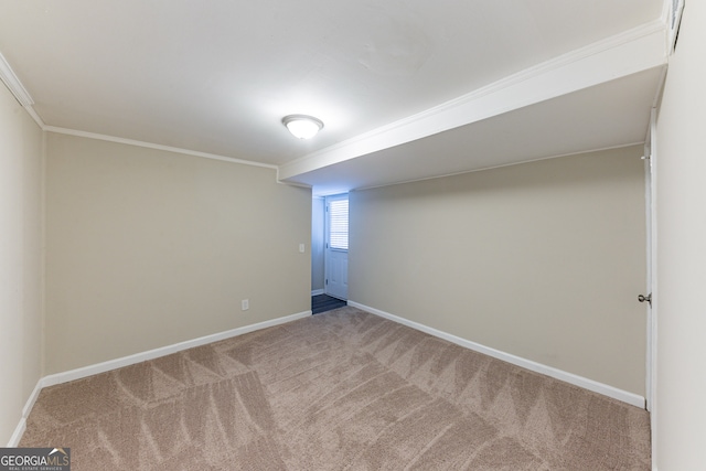 interior space featuring carpet flooring and ornamental molding