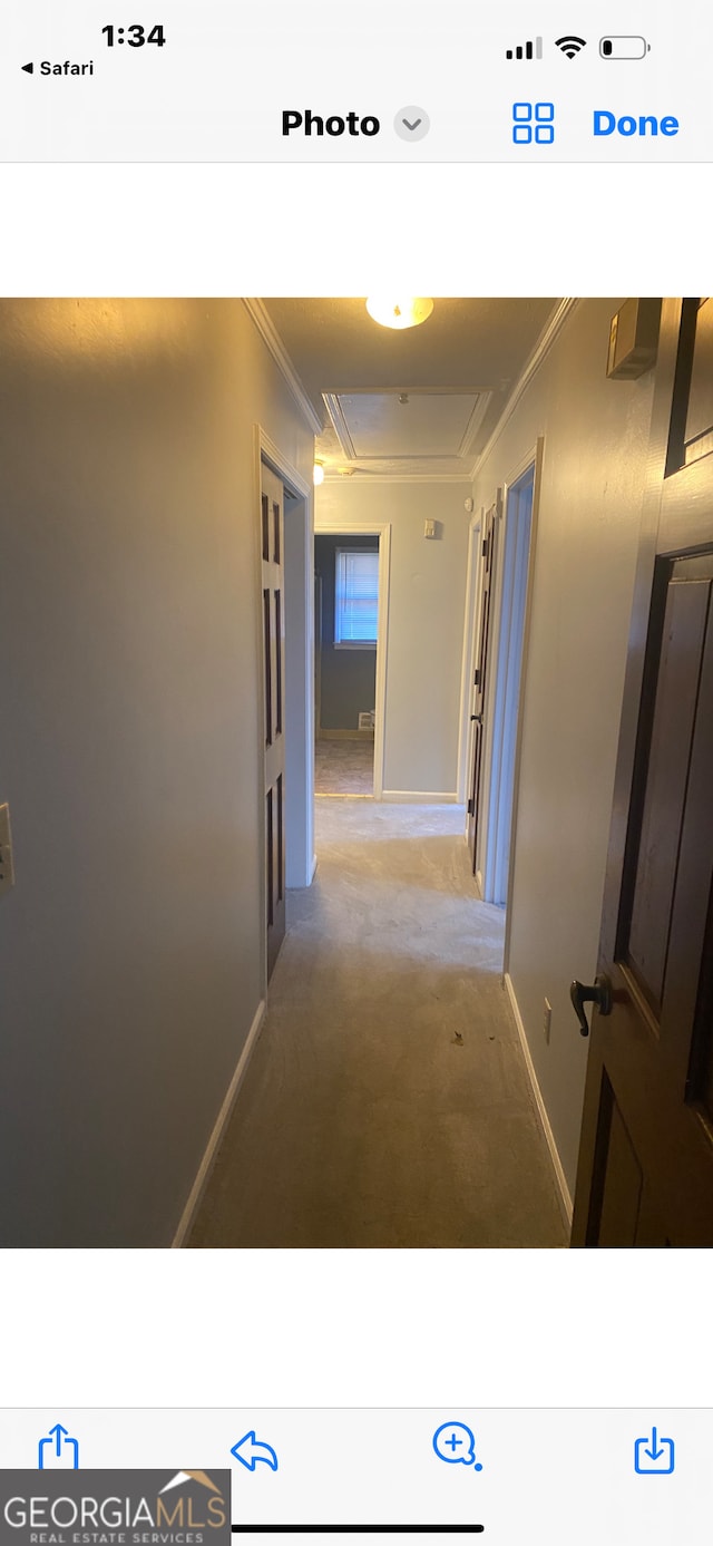 hallway with carpet and ornamental molding