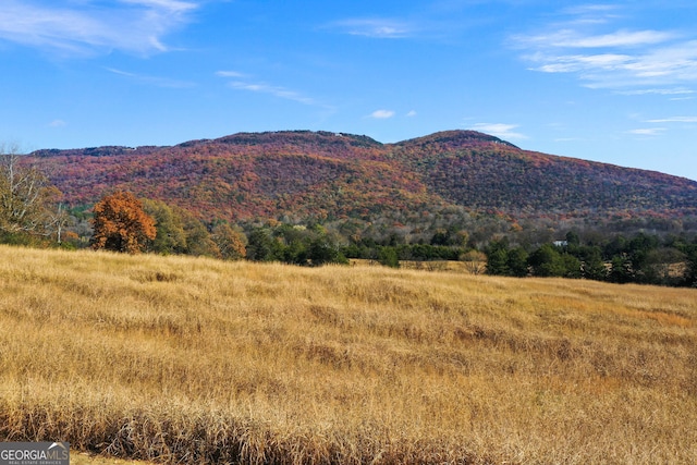 view of mountain feature with a rural view