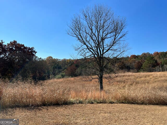 view of local wilderness