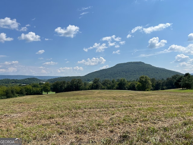 property view of mountains with a rural view