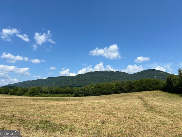 view of mountain feature