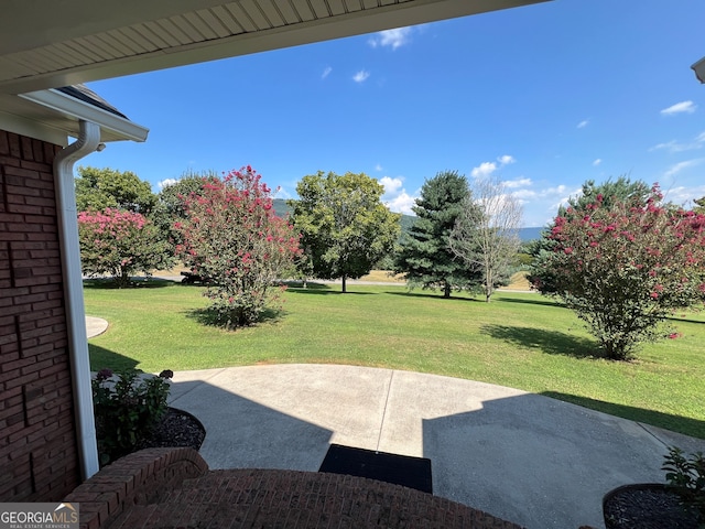 view of yard with a patio