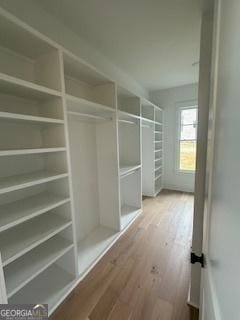 walk in closet featuring wood finished floors