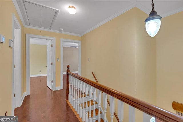 corridor featuring ornamental molding and dark hardwood / wood-style floors