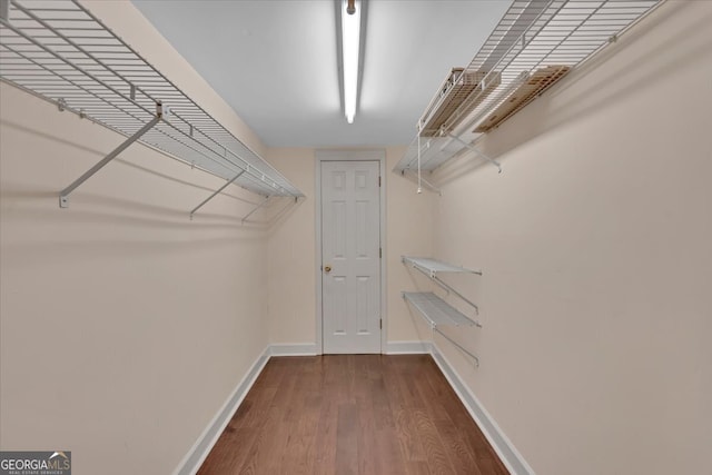 walk in closet featuring hardwood / wood-style flooring