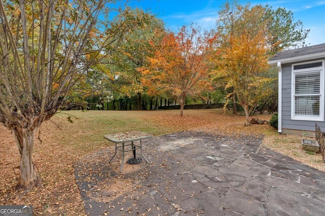 view of yard with a patio area