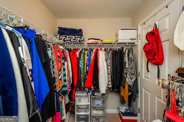 view of walk in closet