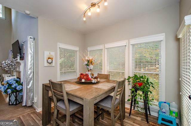 dining room with wood-type flooring and plenty of natural light