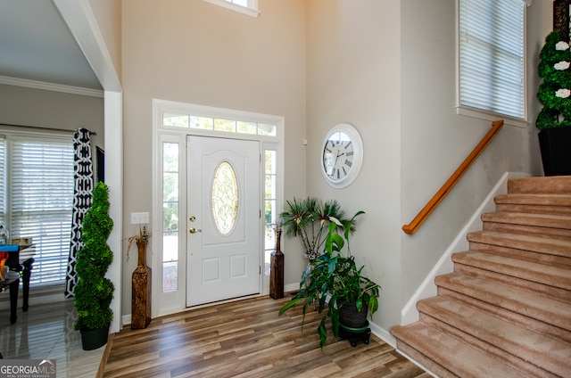 foyer entrance featuring hardwood / wood-style floors and a wealth of natural light