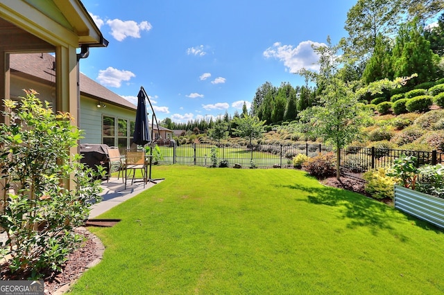 view of yard featuring a patio area