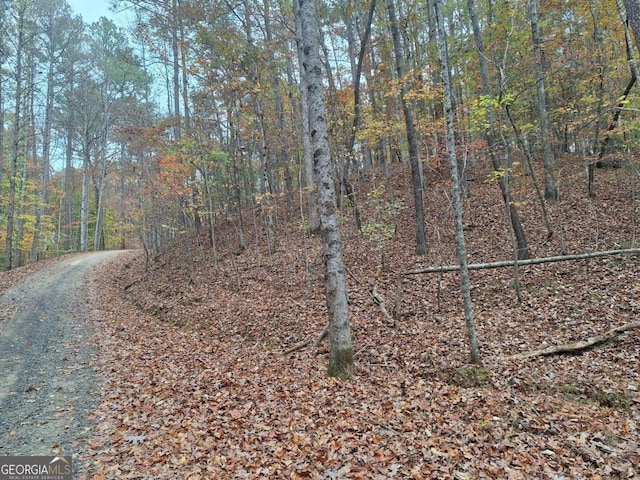 LT2909 Newton Ln Unit 2909, Ellijay GA, 30540 land for sale