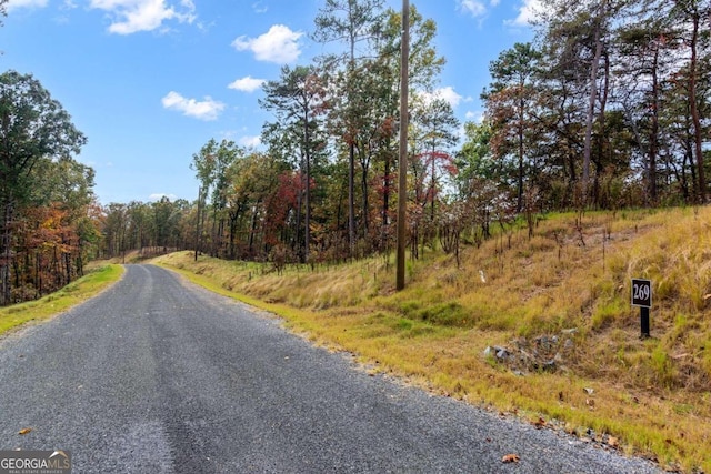 Listing photo 3 for LOT269 Canoe Way, Talking Rock GA 30175