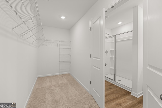 spacious closet with light carpet