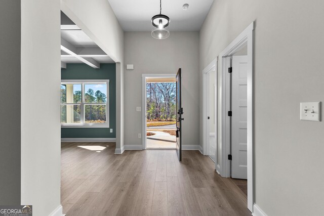 entryway featuring coffered ceiling, beam ceiling, a healthy amount of sunlight, and dark hardwood / wood-style floors