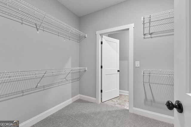 spacious closet featuring carpet floors