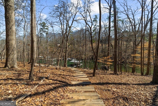 view of street with a wooded view