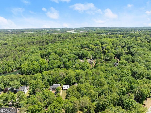 bird's eye view with a forest view