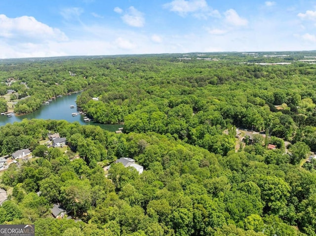 birds eye view of property with a view of trees and a water view