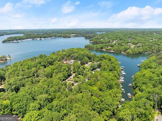 bird's eye view with a view of trees and a water view