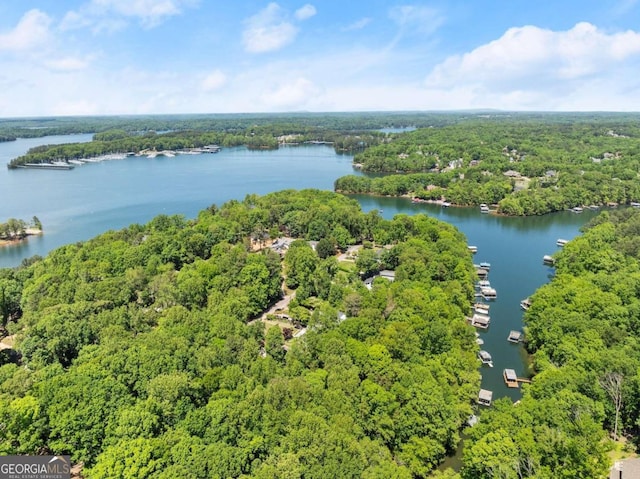 aerial view featuring a view of trees and a water view