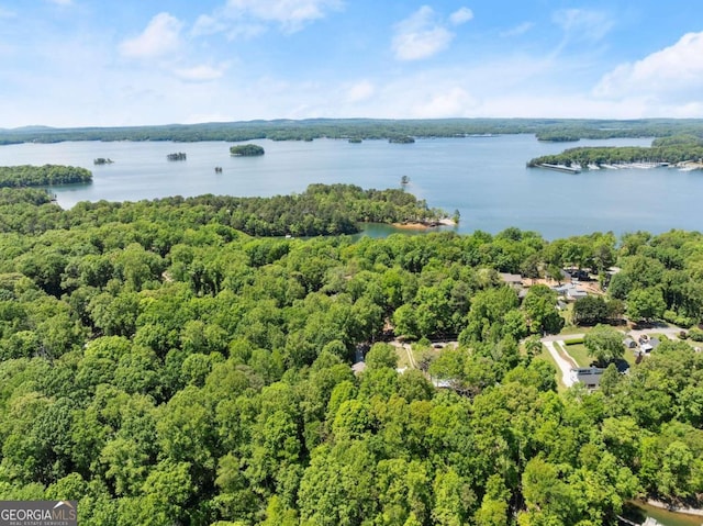 drone / aerial view with a view of trees and a water view