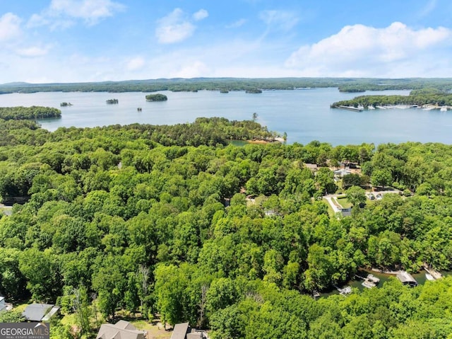 aerial view featuring a wooded view and a water view