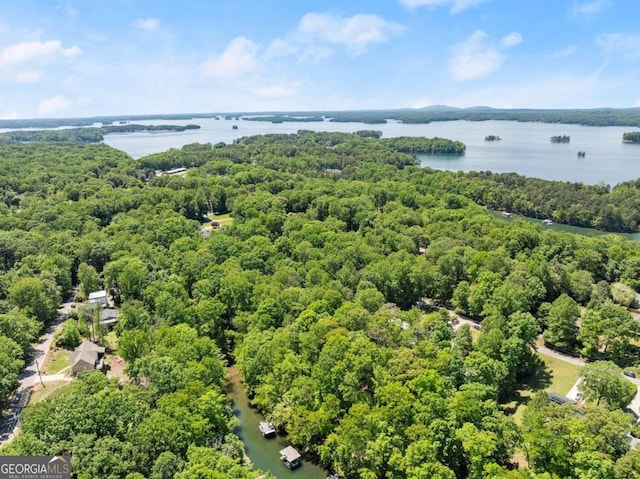 birds eye view of property featuring a water view and a wooded view