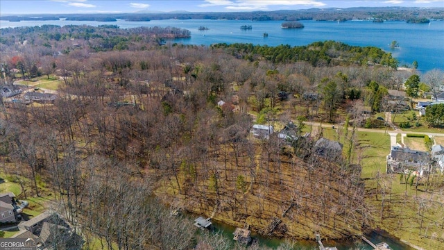 birds eye view of property featuring a water view and a view of trees