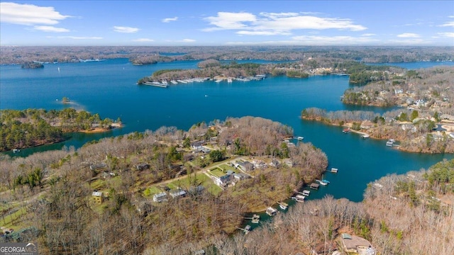 bird's eye view with a forest view and a water view