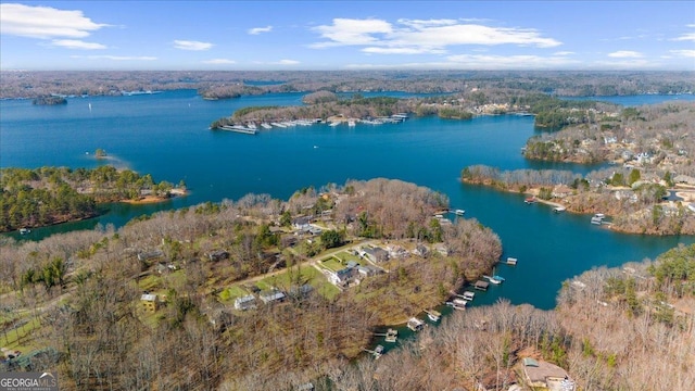 birds eye view of property with a forest view and a water view
