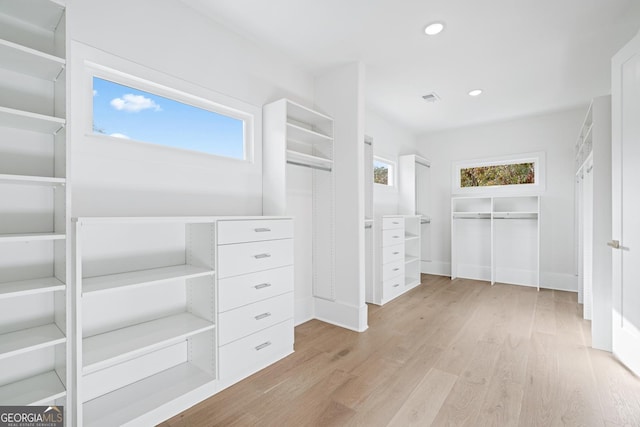 spacious closet with light wood-type flooring