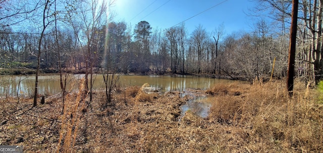 Listing photo 3 for 0 Southern Shores Rd, Jackson GA 30233