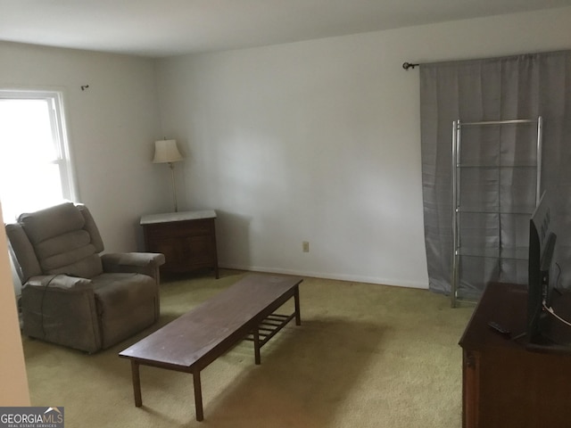 living area featuring light colored carpet