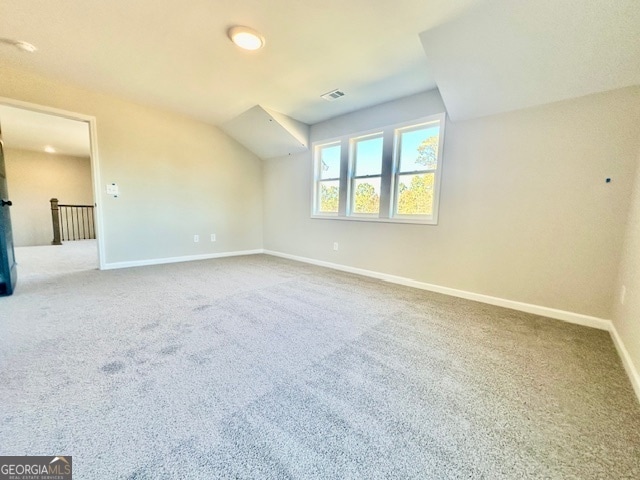 additional living space with carpet floors