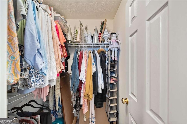 view of spacious closet