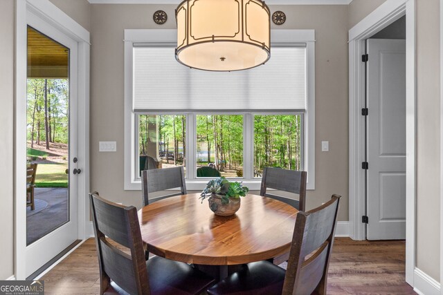 dining room with plenty of natural light and dark wood-type flooring