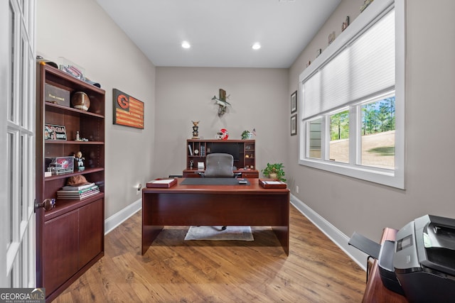 office area featuring wood-type flooring