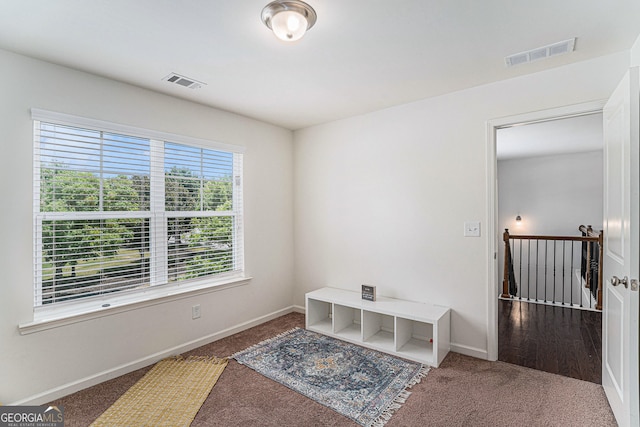 mudroom featuring carpet