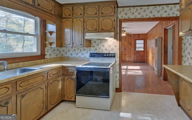 kitchen featuring sink, white electric stove, wooden walls, ceiling fan, and light hardwood / wood-style floors